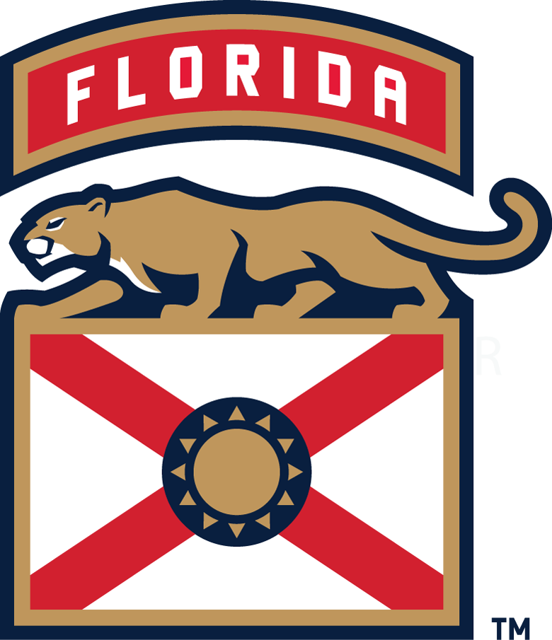 Florida Panthers 2016-Pres Alternate Logo iron on transfers for fabric version 3
